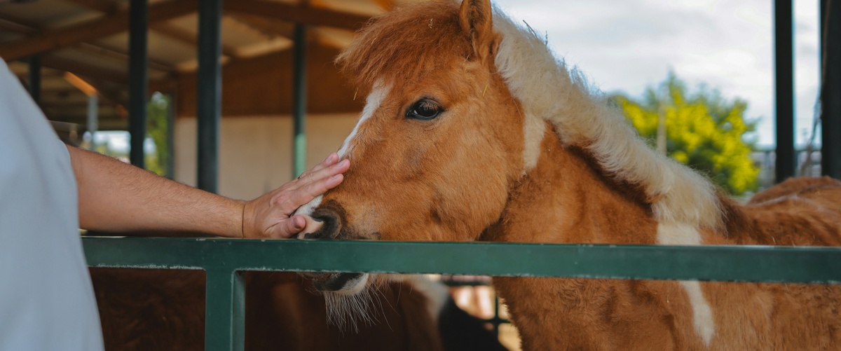 In Matthew 10:29 we are told: 