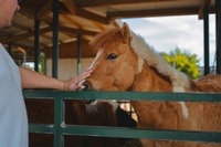 Spiritual Blessings in Christ