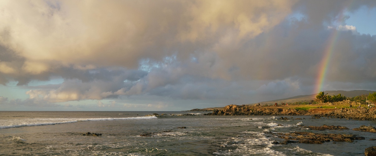 Novelist Elizabeth Hardwick once said, 