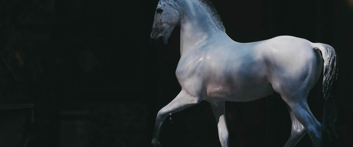 They are traditionally viewed as 