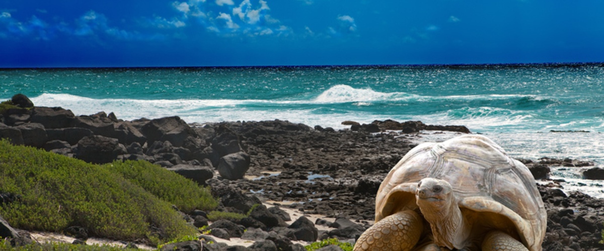 In Matthew 10:29 we are told: 