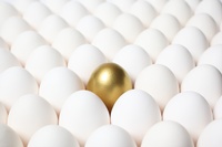 Spiritual Blessings in Christ