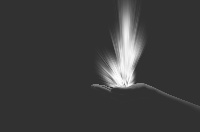 Spiritual Blessings in Christ