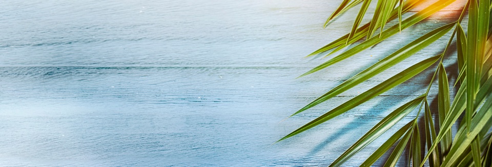 Spiritual Wellness