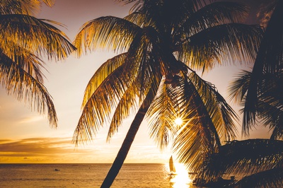 Christian Family inspired Articles