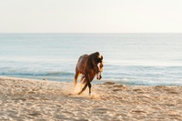 Spiritual Blessings in Christ