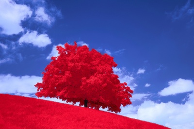 Women and Christianity - Christianity now