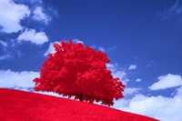 Spiritual Blessings in Christ