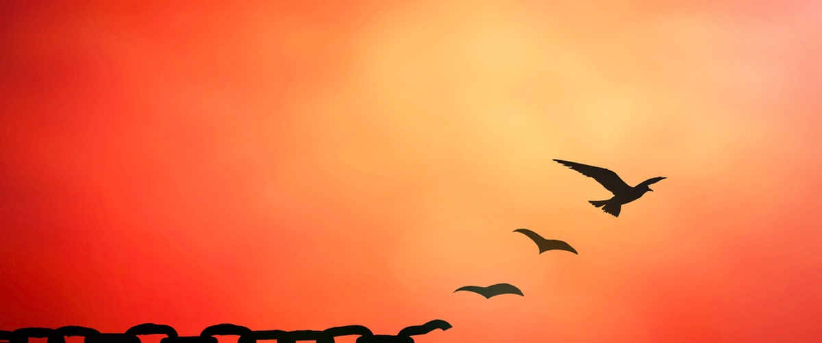 The encouraging Bible verse of Proverbs 19:8, for example, tells us that, 