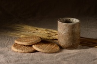 Spiritual Blessings in Christ