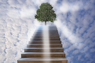 Christian Youth & Young Adults