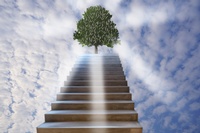 Spiritual Blessings in Christ