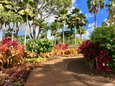 Women and Christianity - Christianity now