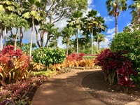 Spiritual Blessings in Christ