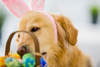 Spiritual Blessings in Christ