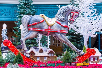 Christian Youth & Young Adults