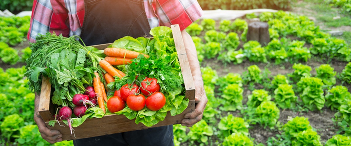 For example, consider this passage from Proverbs: 