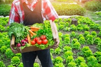 Spiritual Blessings in Christ