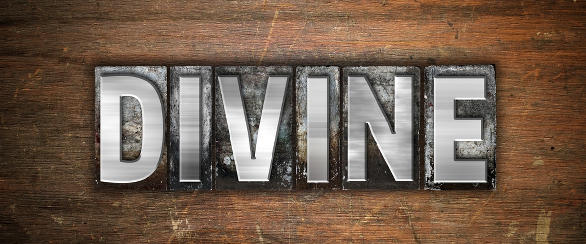 Daily Bible Study and Devotionals